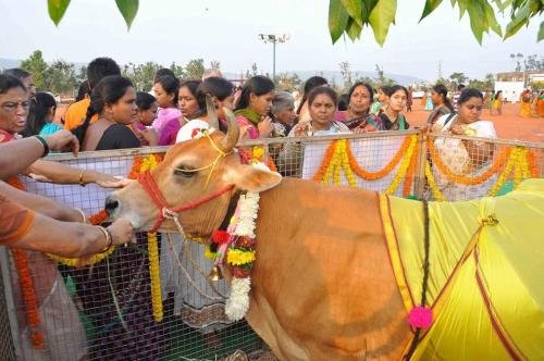 1535001_817820718274065_128614646096602249_n