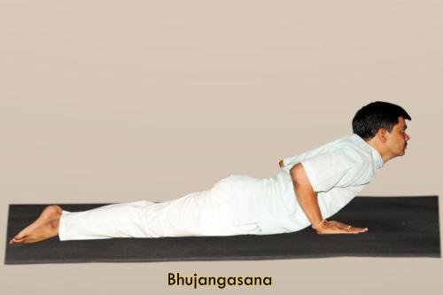 Bhujangasana copy