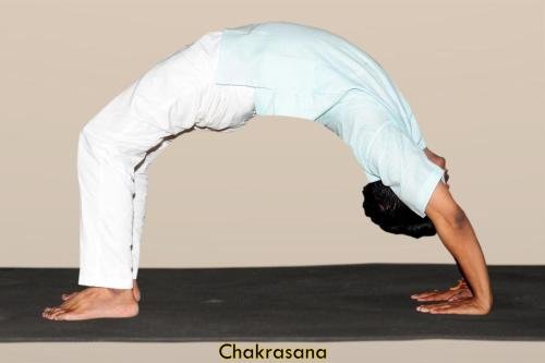 Chakrasana copy