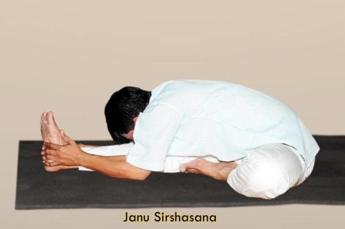 Janusirshasana copy