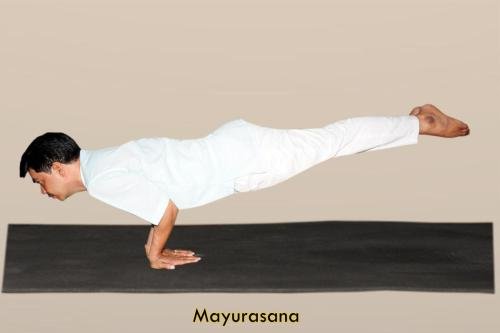 Mayurasana copy