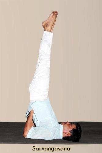 Sarvangasana copy