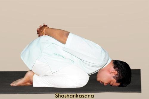 Shashankasana-1 copy