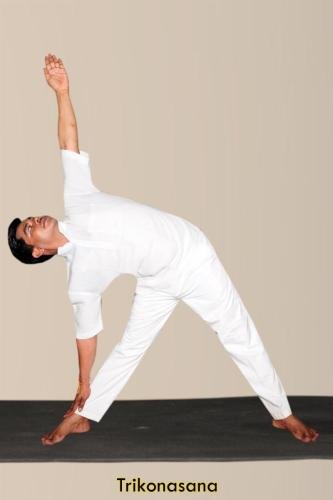 Trikonasana-1 copy