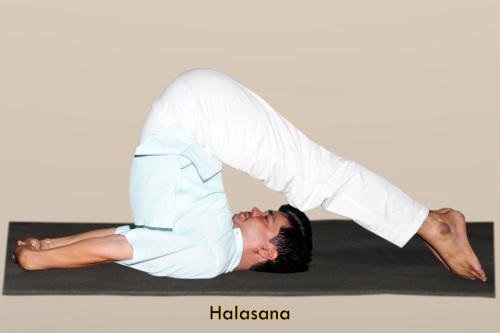 halasana-2 copy
