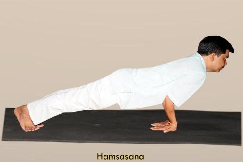hamsasana copy
