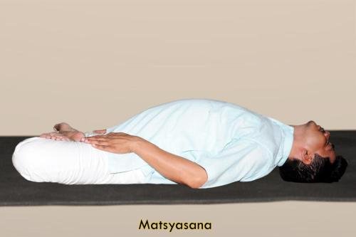 matsyasana copy