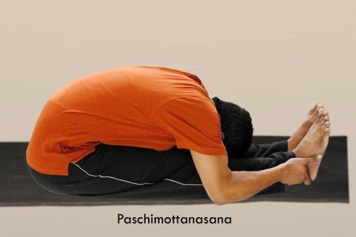 paschimottanasana copy